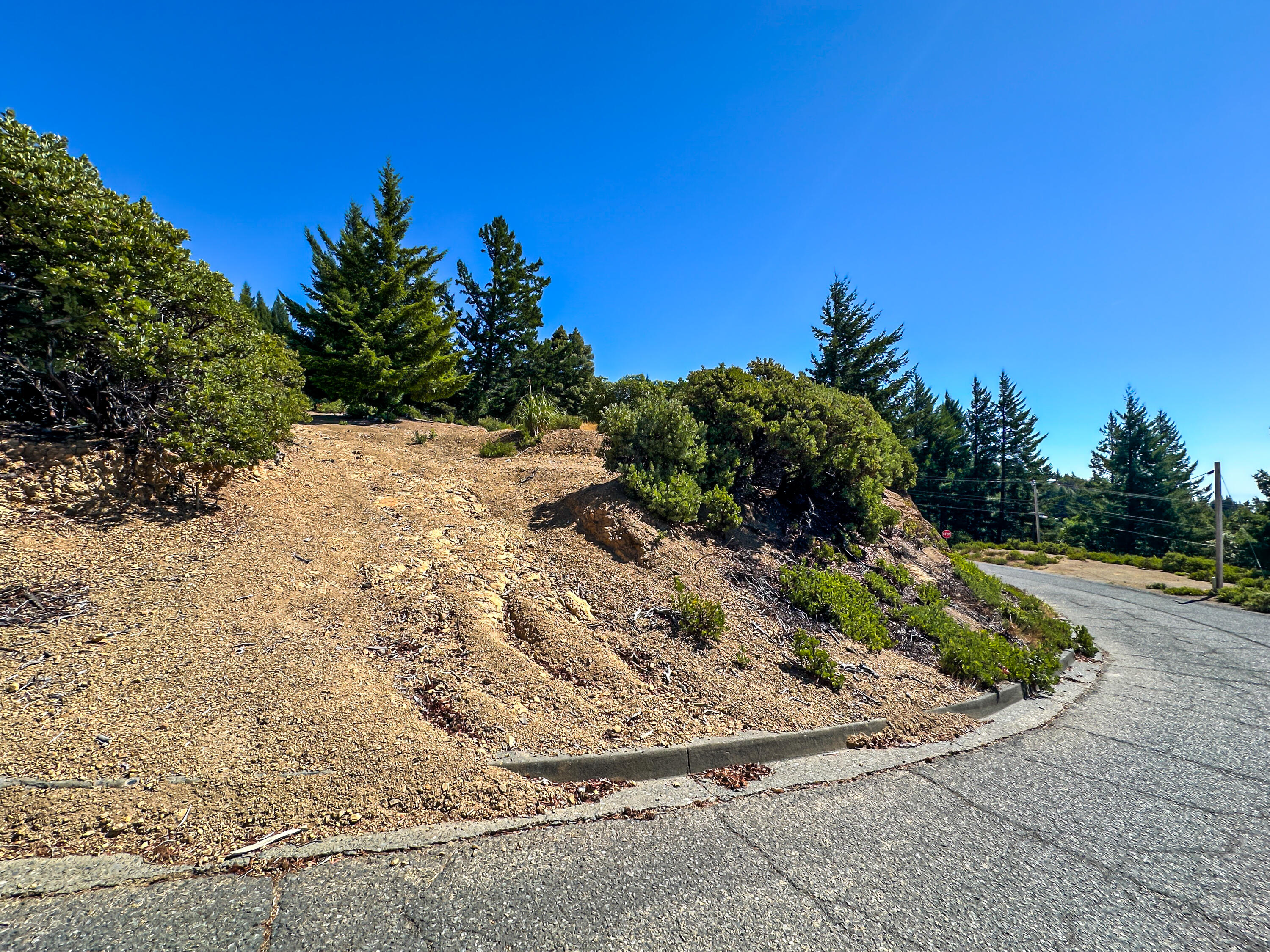 34 Vance Road Whitethorn, CA 95589 - Photo 13 of 20