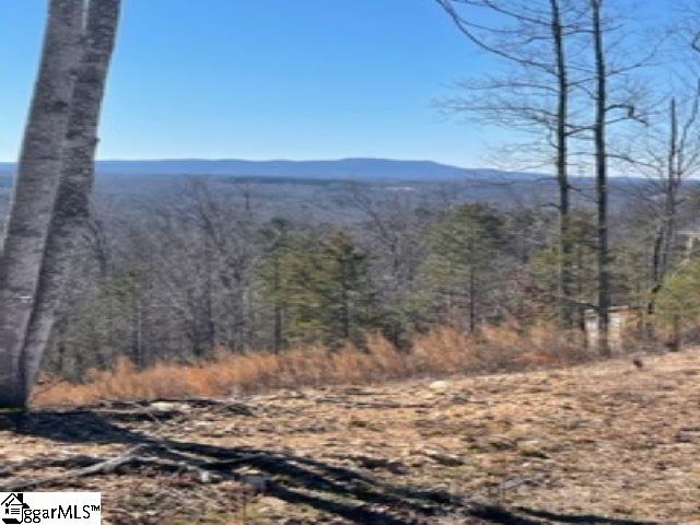 721 Packs Mountain Ridge Road Taylors, SC 29687 - Photo 1 of 3