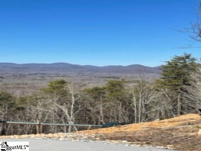721 Packs Mountain Ridge Road Taylors, SC 29687 - Photo 2 of 3