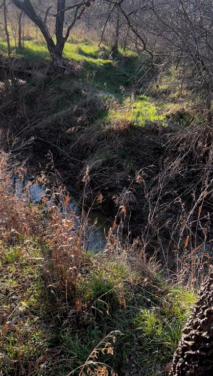1325 County Road 319 Terrell, TX 75161 - Photo 27 of 32 WINDING CREEKS