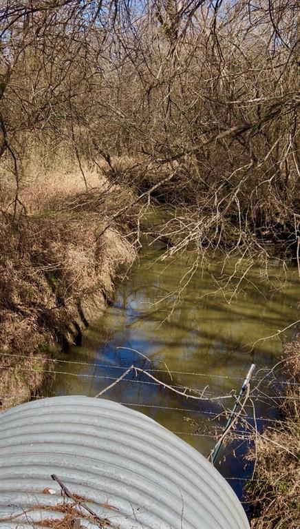 1325 County Road 319 Terrell, TX 75161 - Photo 30 of 32 CREEK /SMALL POND
