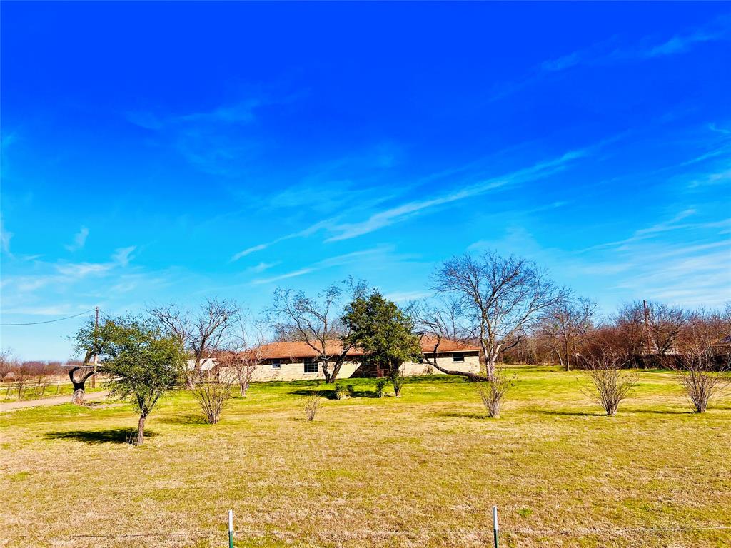 1325 County Road 319 Terrell, TX 75161 - Photo 3 of 32