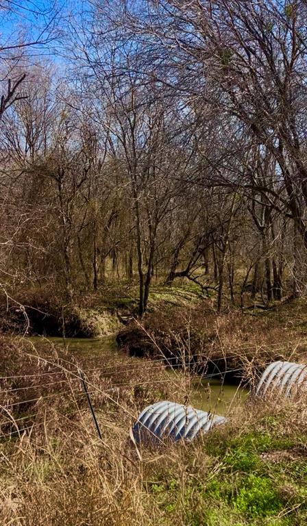 1325 County Road 319 Terrell, TX 75161 - Photo 31 of 32 CREEK/SMALL POND FROME THE ROAD