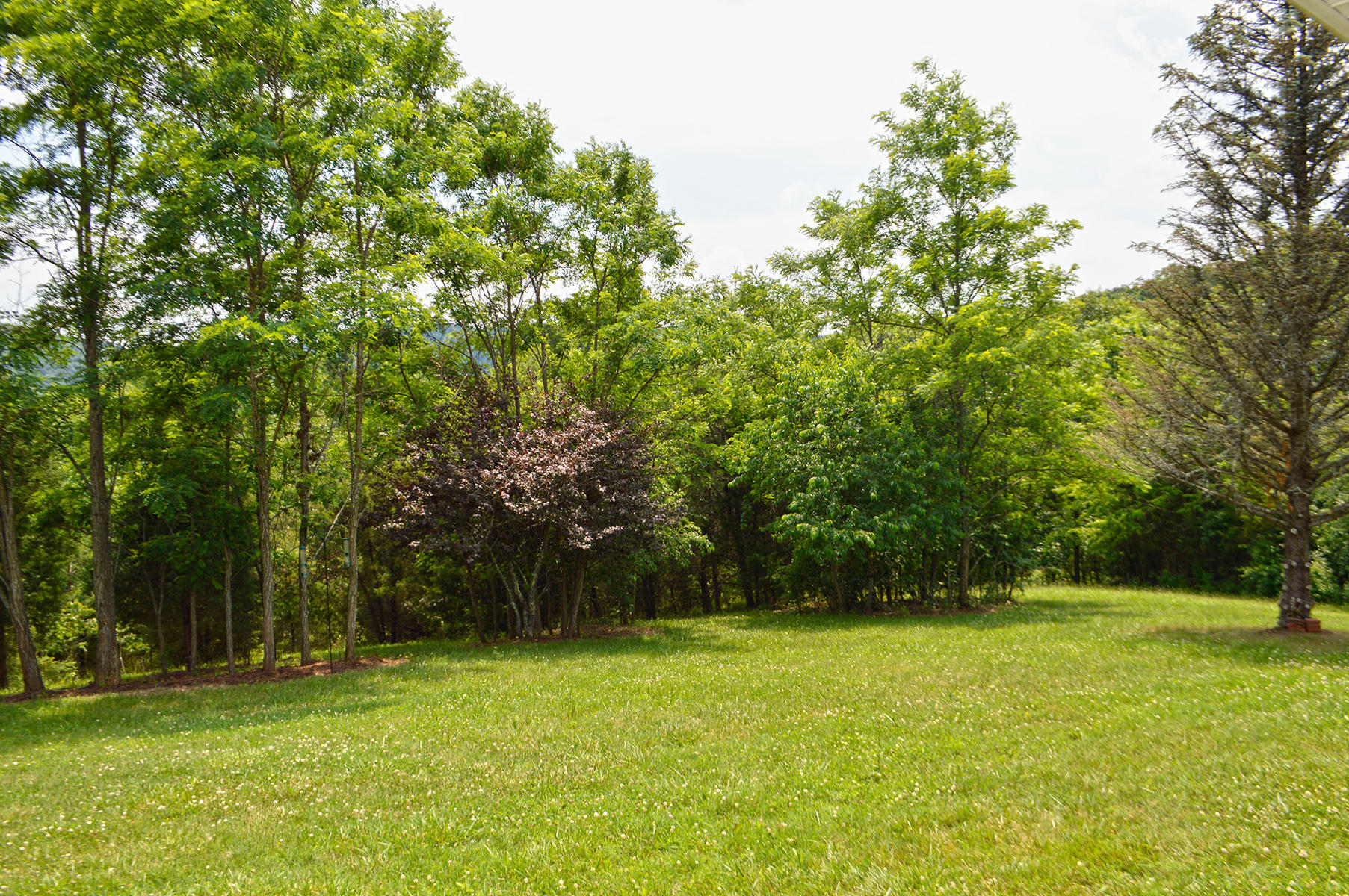1821 Garlick Road Elliston, VA 24087 - Photo 4 of 23 b_Yard 1