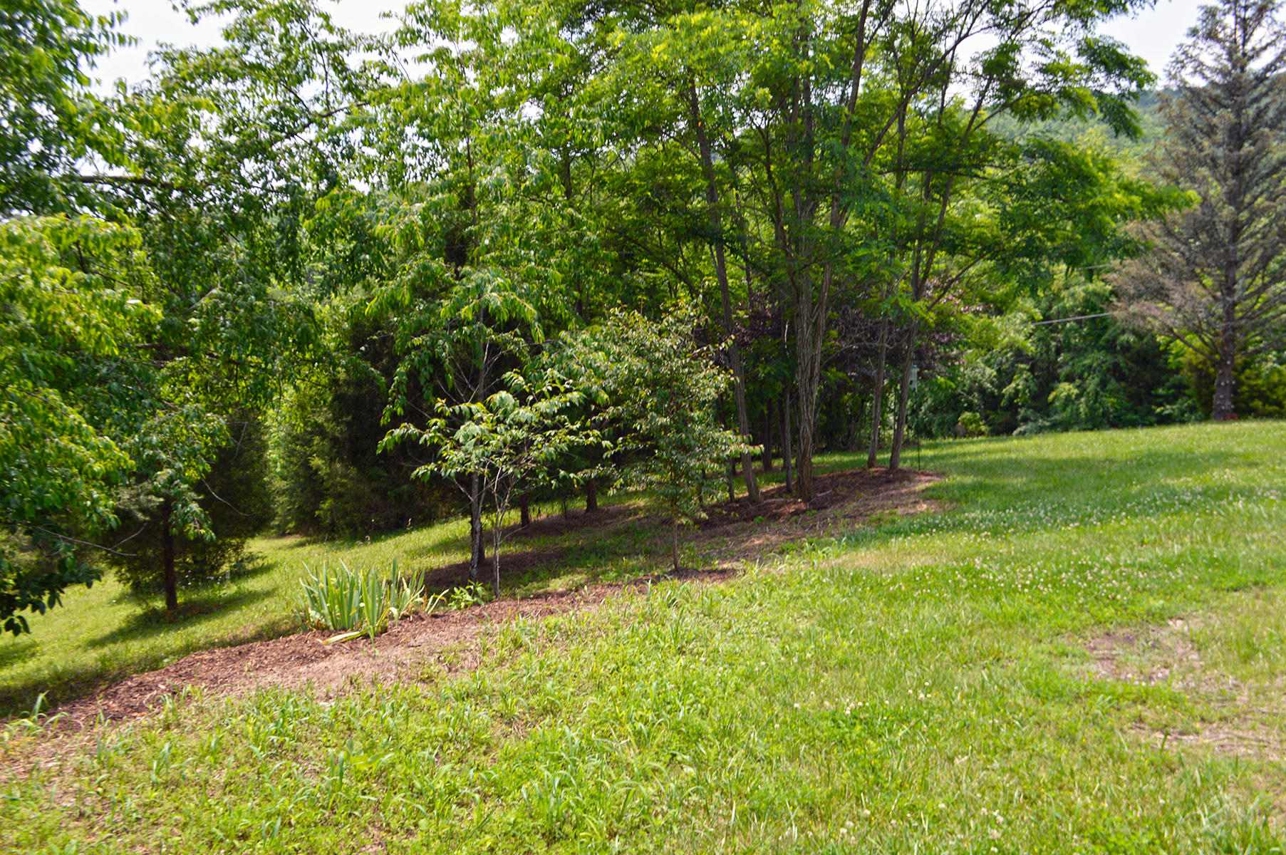 1821 Garlick Road Elliston, VA 24087 - Photo 5 of 23 b_Yard 2