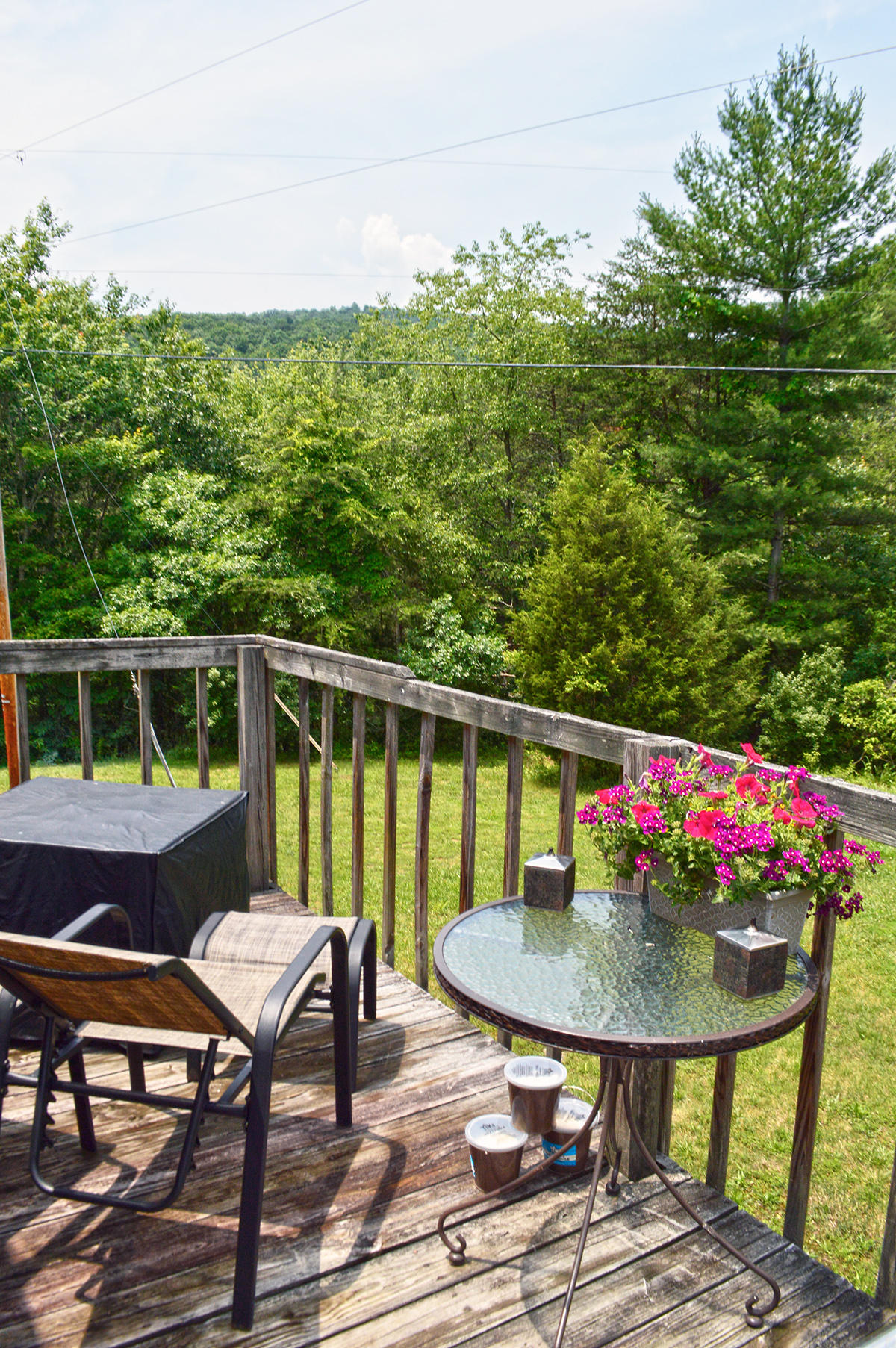 1821 Garlick Road Elliston, VA 24087 - Photo 7 of 23 cc_Deck 1