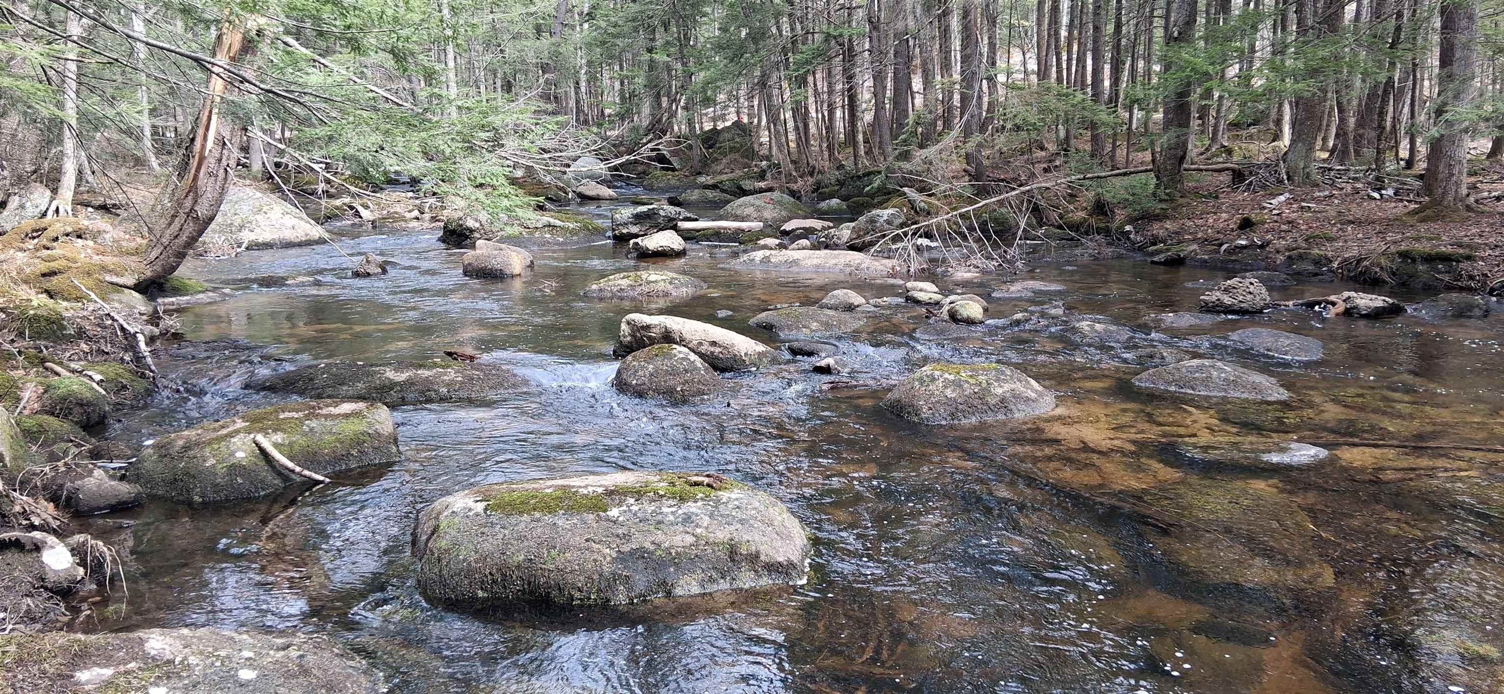 41 Lee Farm Road Hancock, NH 03449 - Photo 40 of 40