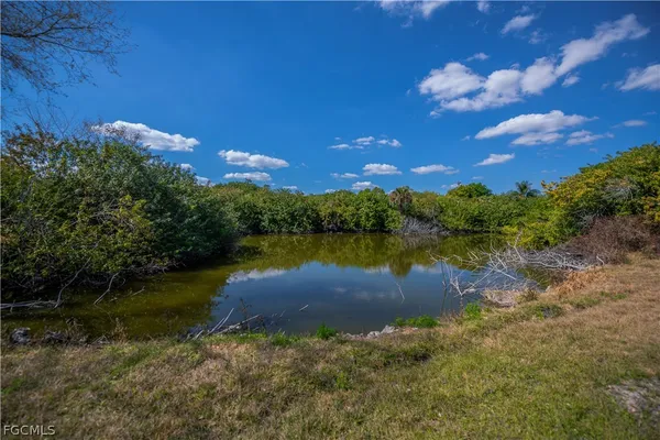 a view of a lake from a yard