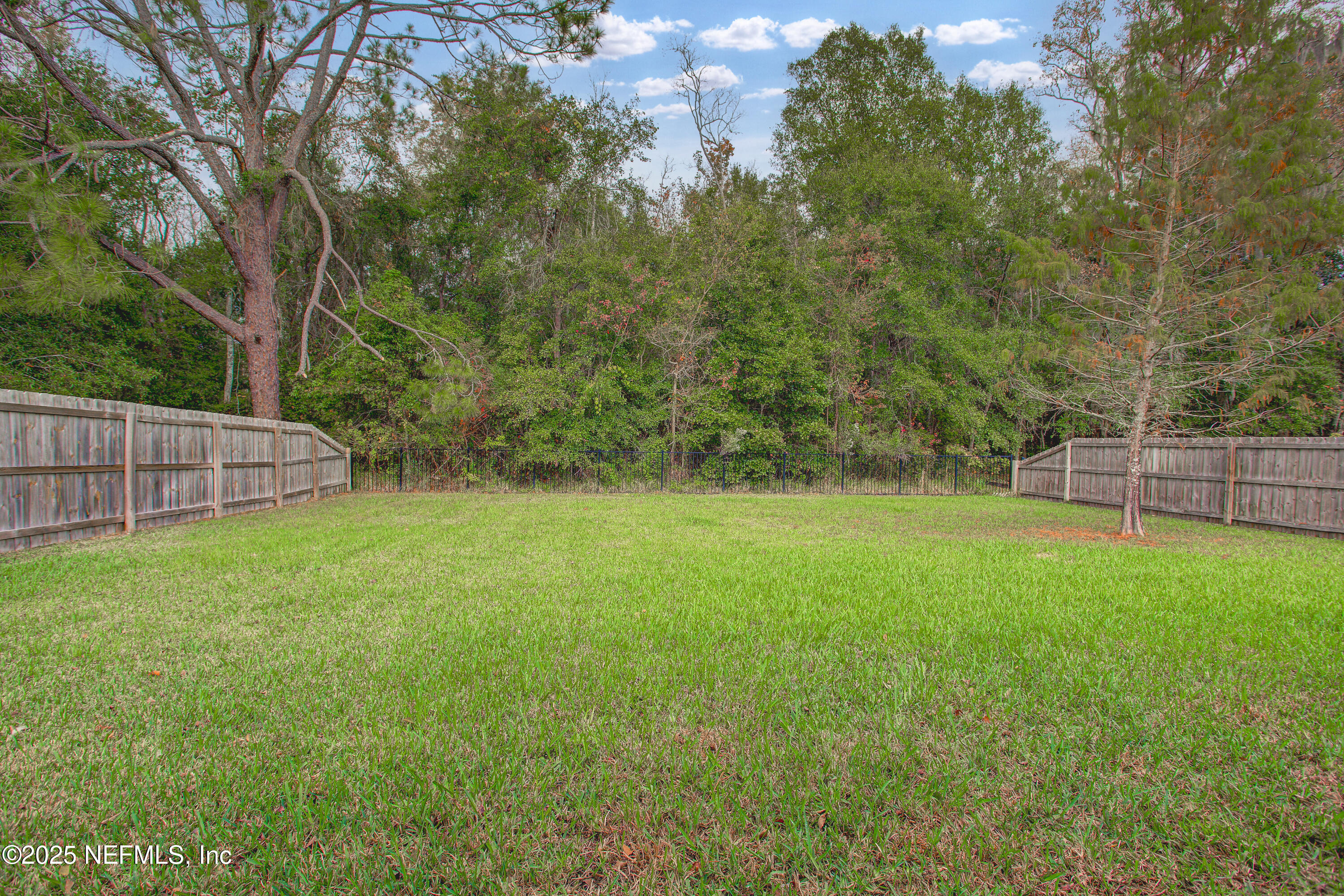 7341 Steventon Way Jacksonville, FL 32244 - Photo 65 of 75 a view of a backyard with a small cabin