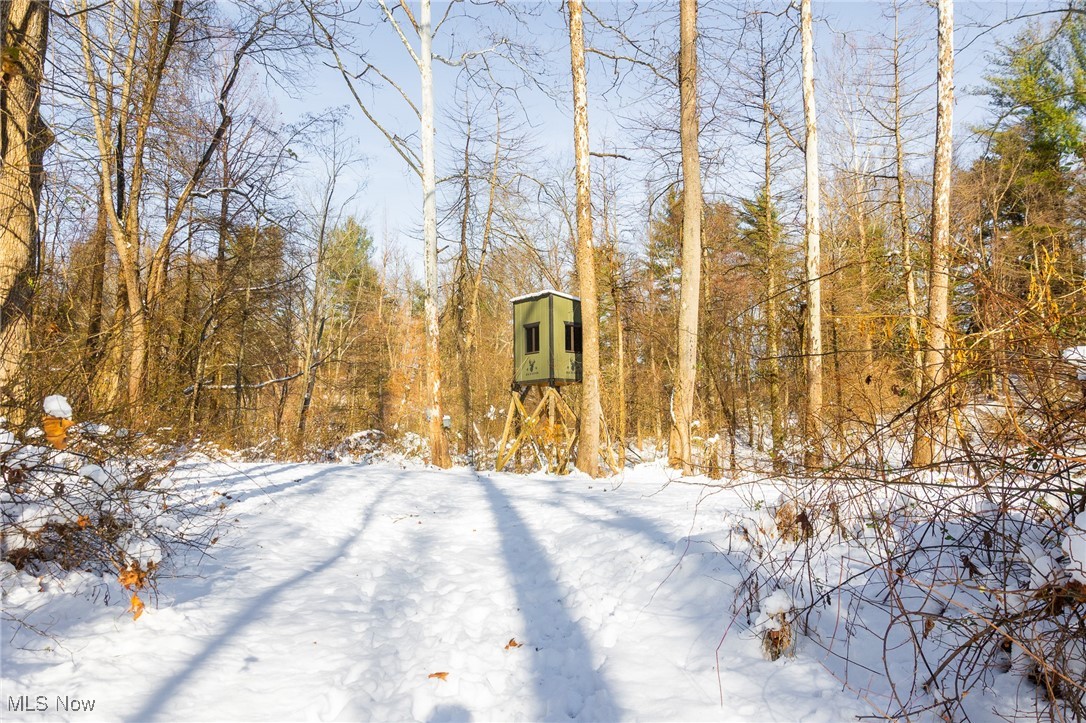 138 Township Road Coshocton, OH 43812 - Photo 11 of 47 Snowy yard featuring a wooded view