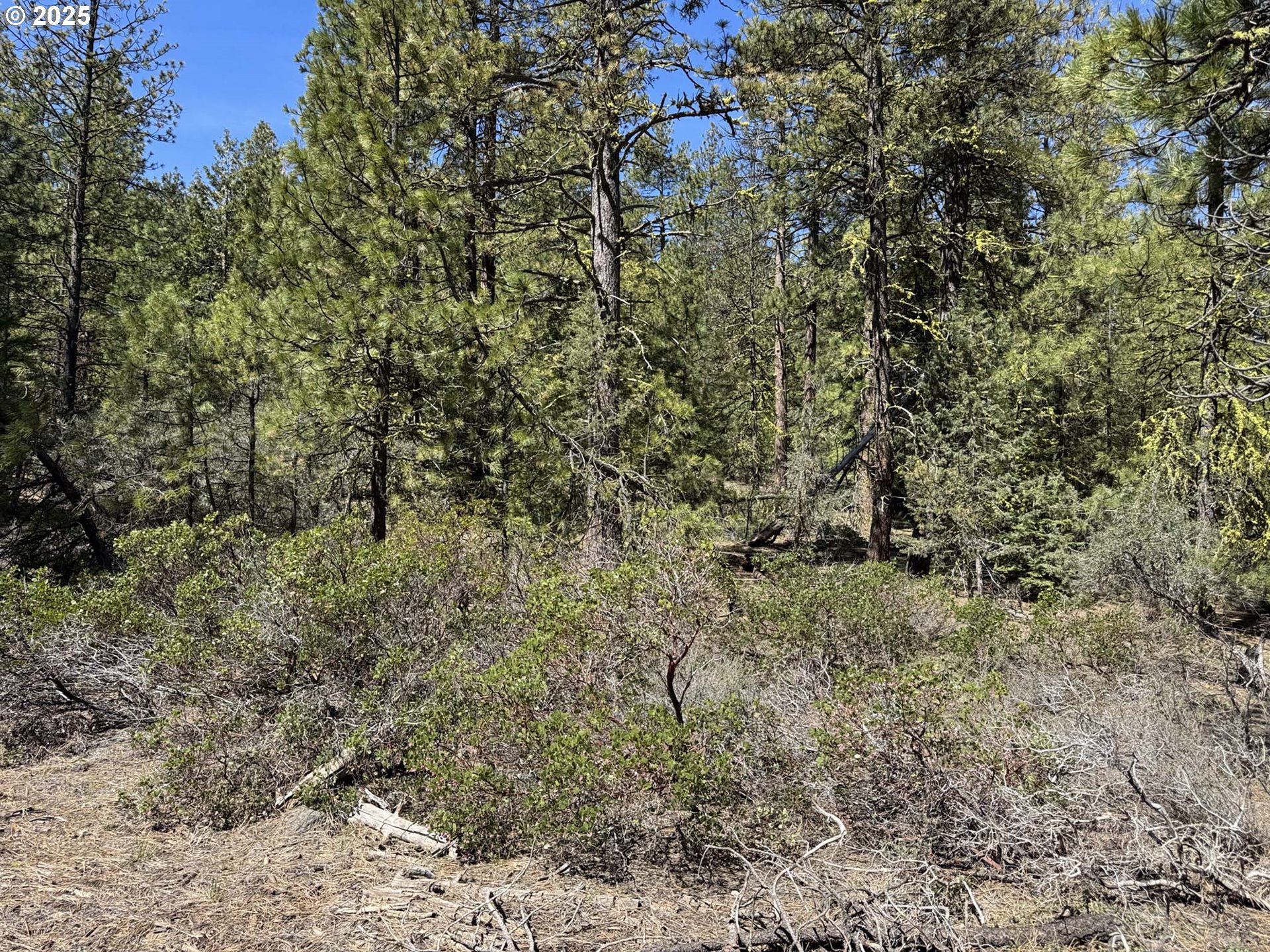 Horned Owl Lane Bonanza, OR 97623 - Photo 16 of 44