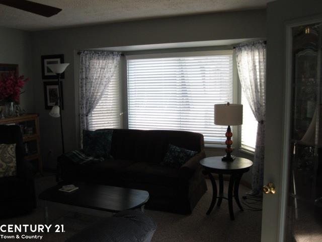 233 Chandler Street Romeo, MI 48065 - Photo 46 of 68