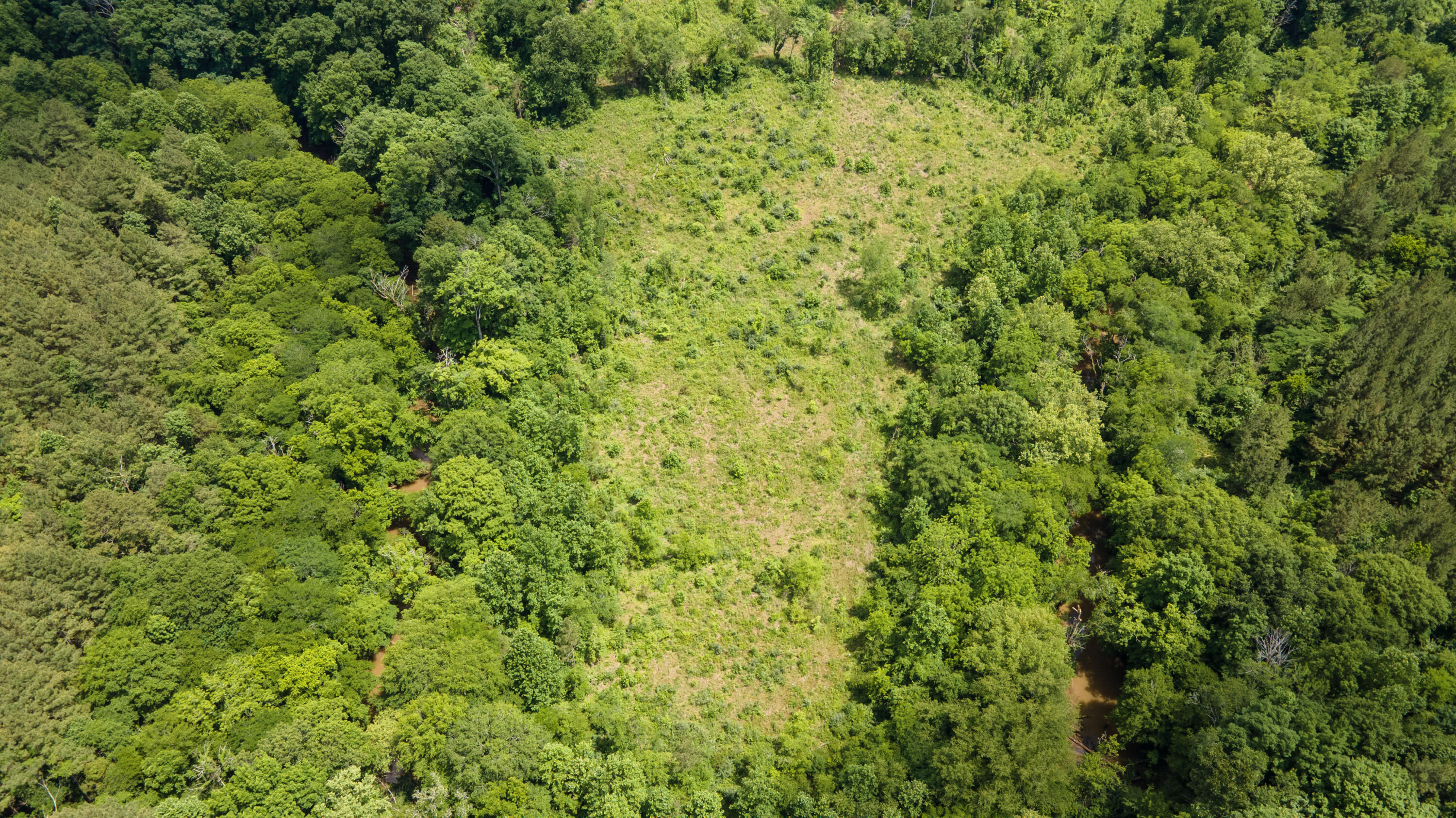 Lot 4 State Highway Calhoun, TN 37309 - Photo 14 of 22 14-32-DJI_0136