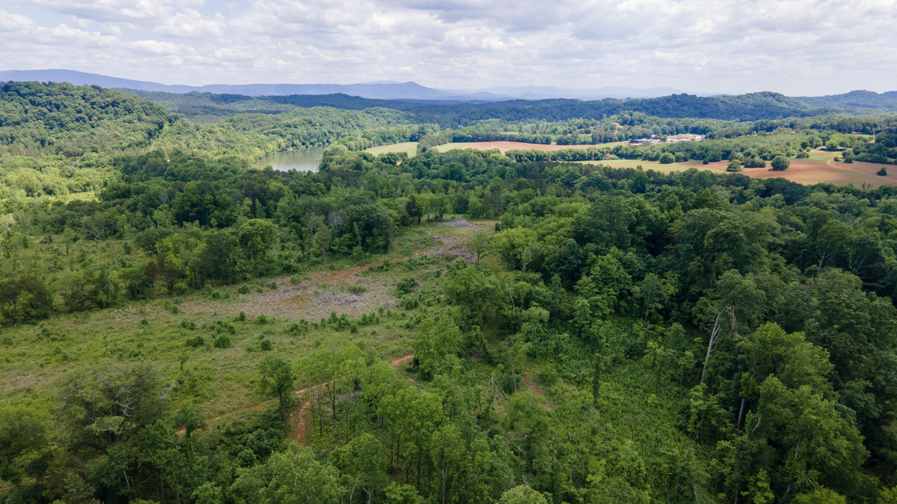 Lot 4 State Highway Calhoun, TN 37309 - Photo 15 of 22 15-34-DJI_0139