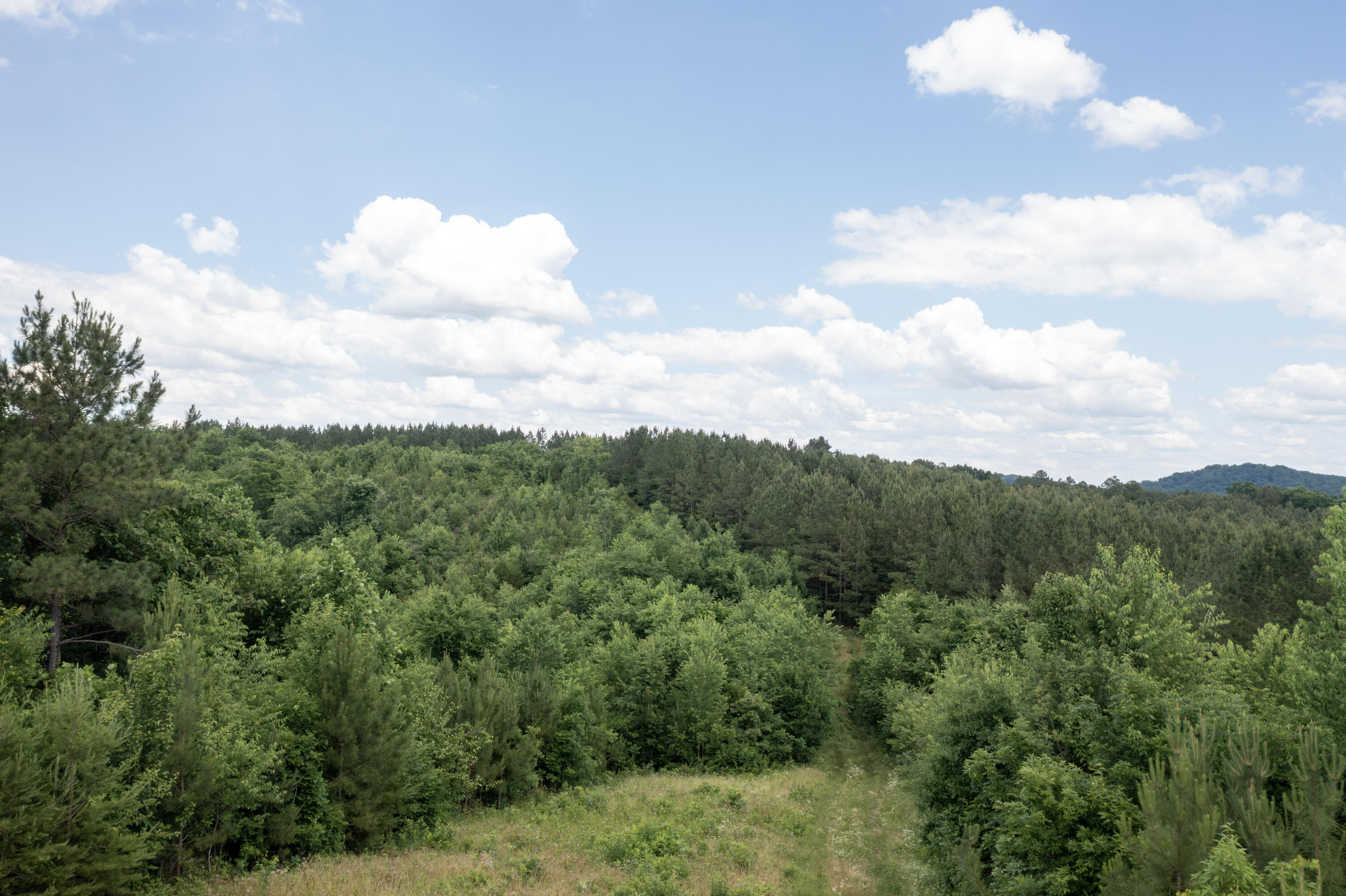 Lot 4 State Highway Calhoun, TN 37309 - Photo 16 of 22 16-40-DJI_0882