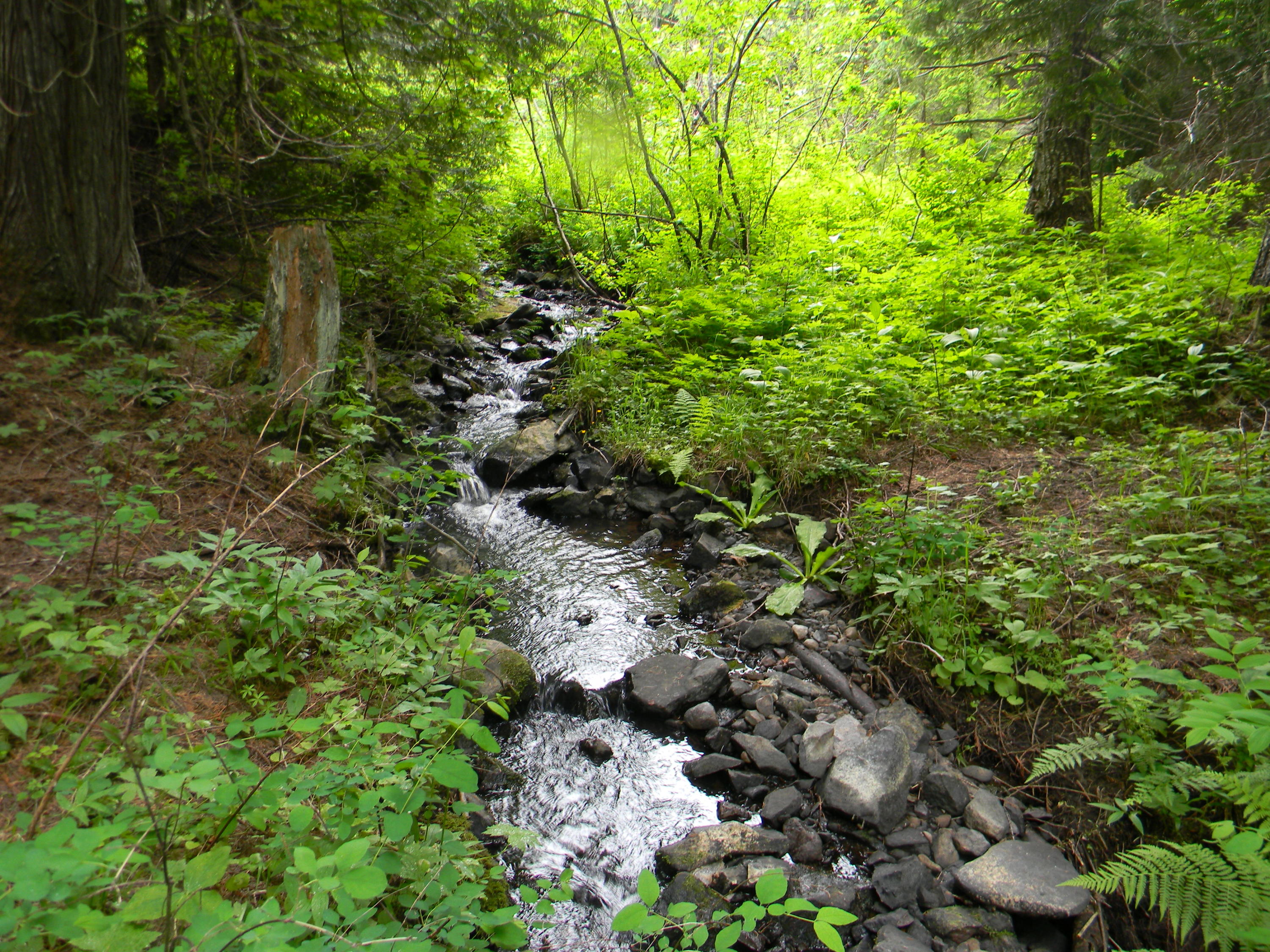 Year round Creek