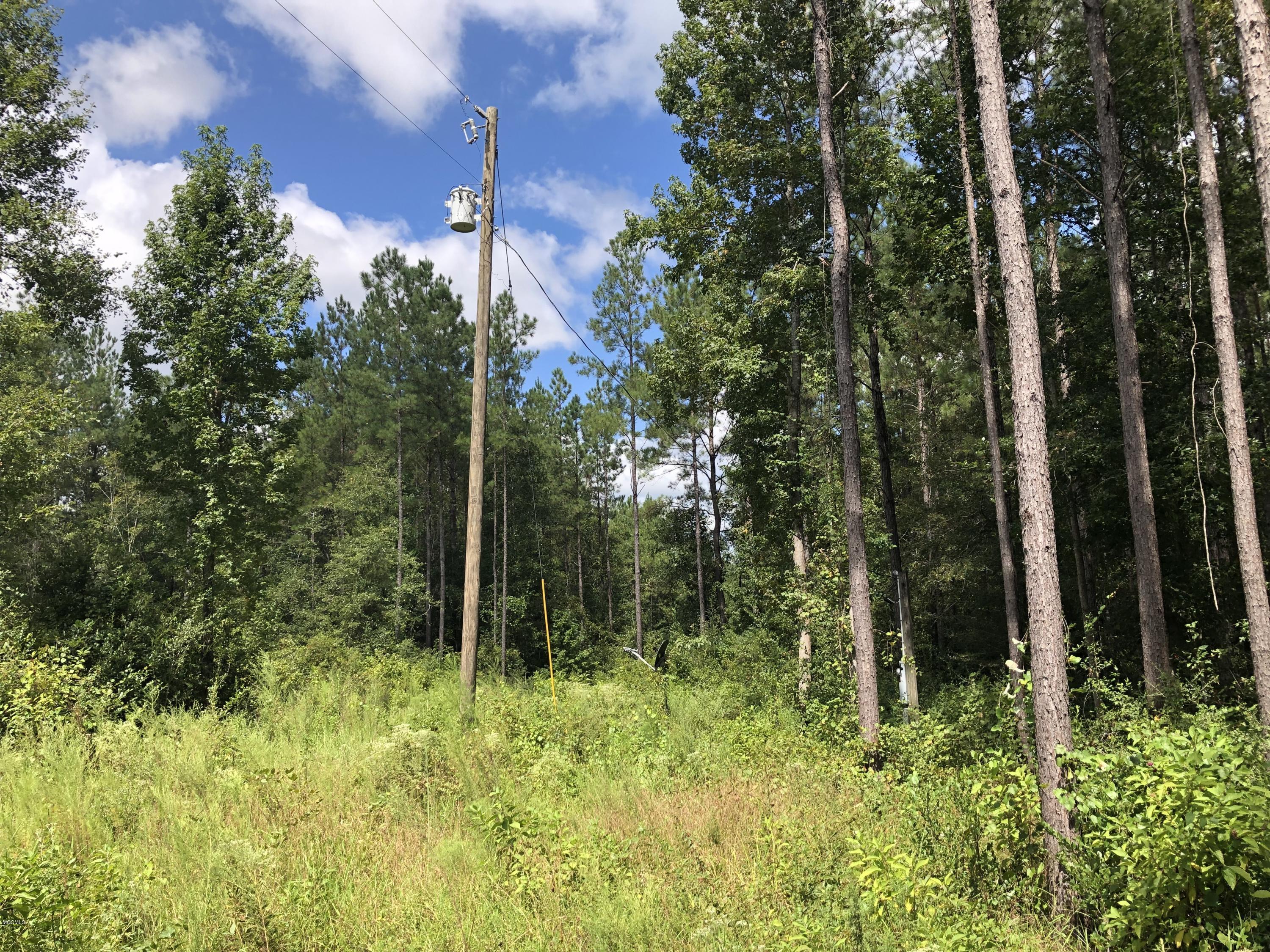 0 Stonecypher Road Lucedale, MS 39452 - Photo 11 of 29 IMG_1497(1)