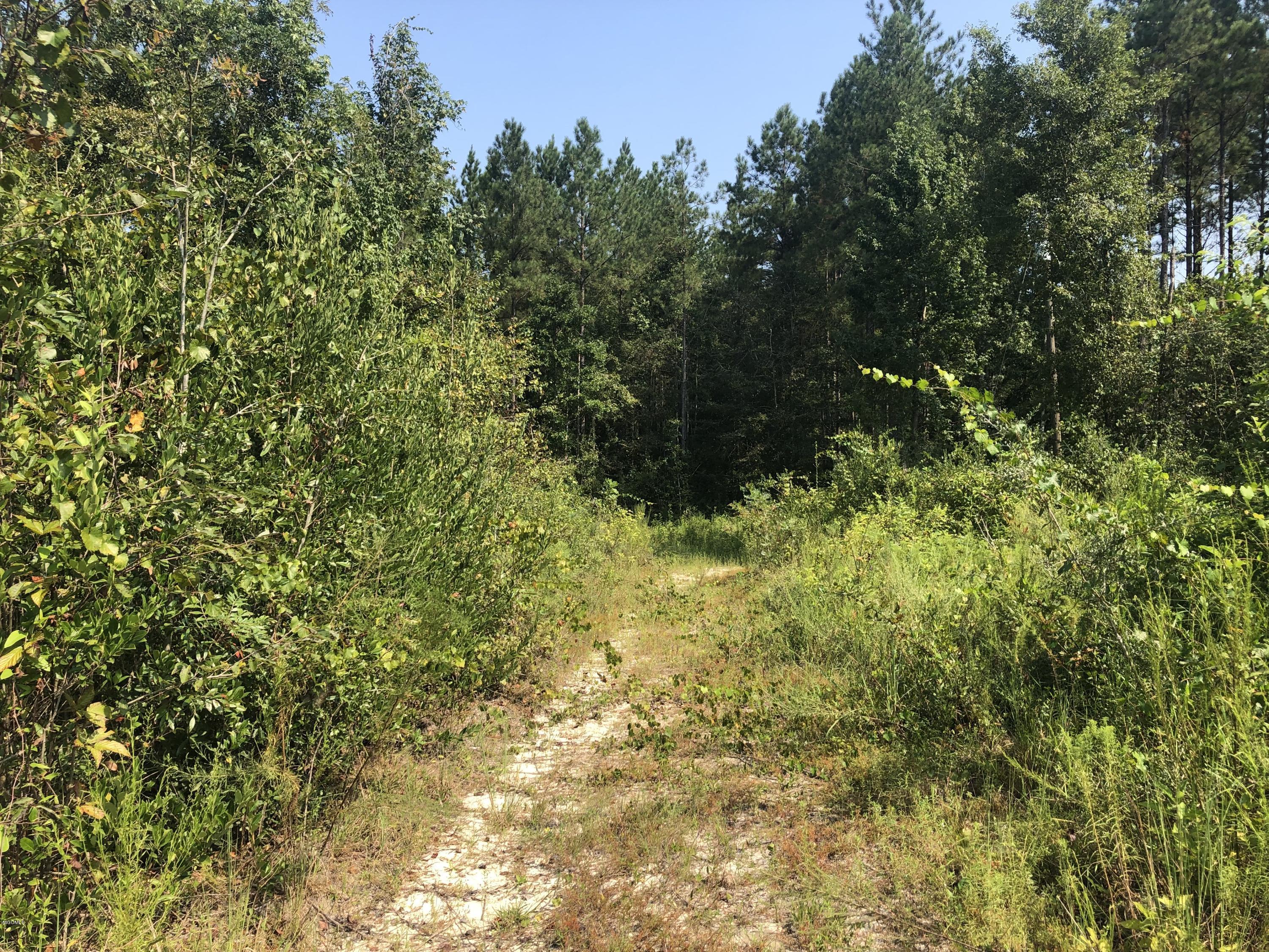 0 Stonecypher Road Lucedale, MS 39452 - Photo 12 of 29 IMG_1544
