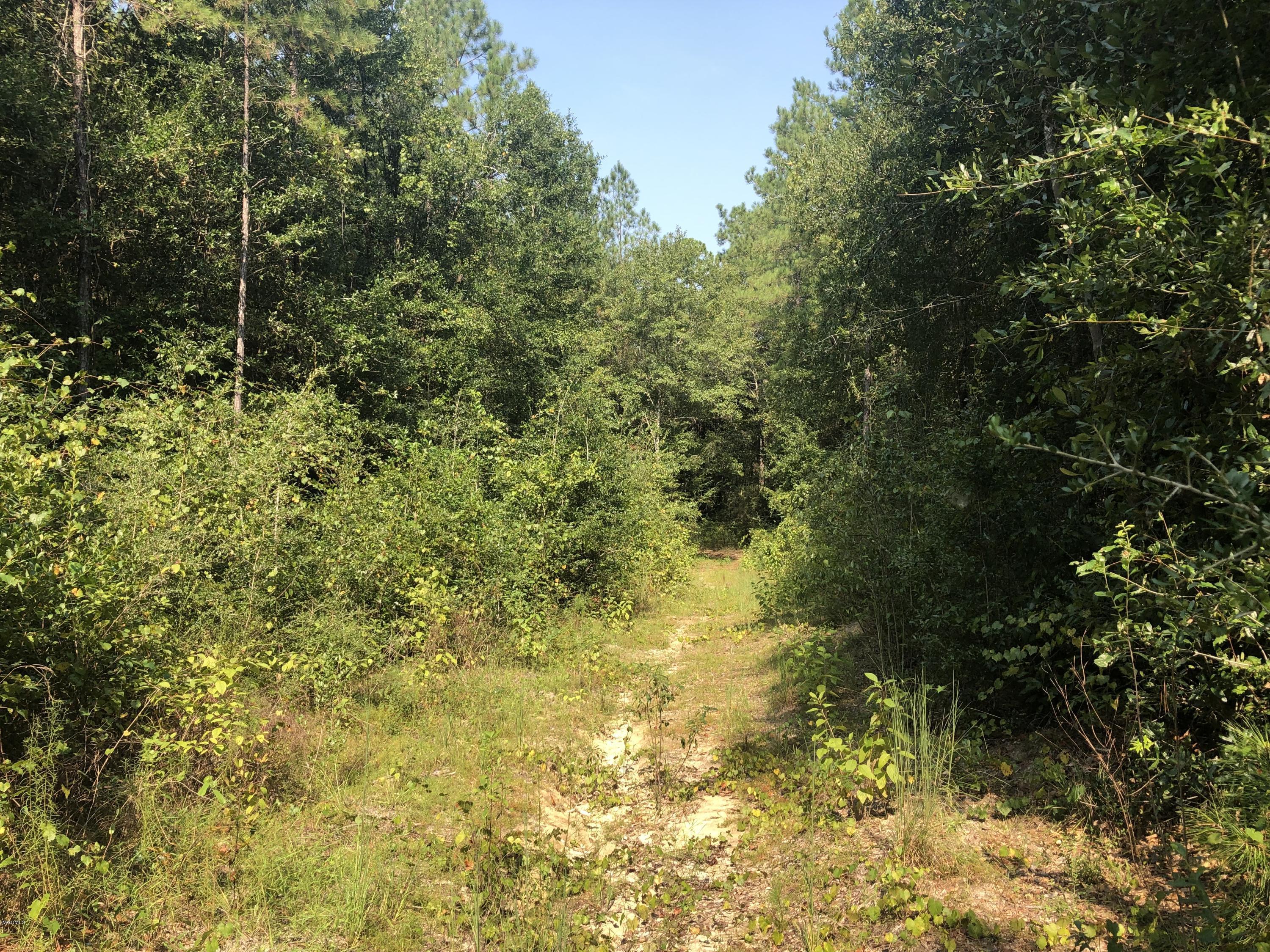 0 Stonecypher Road Lucedale, MS 39452 - Photo 14 of 29 IMG_1541