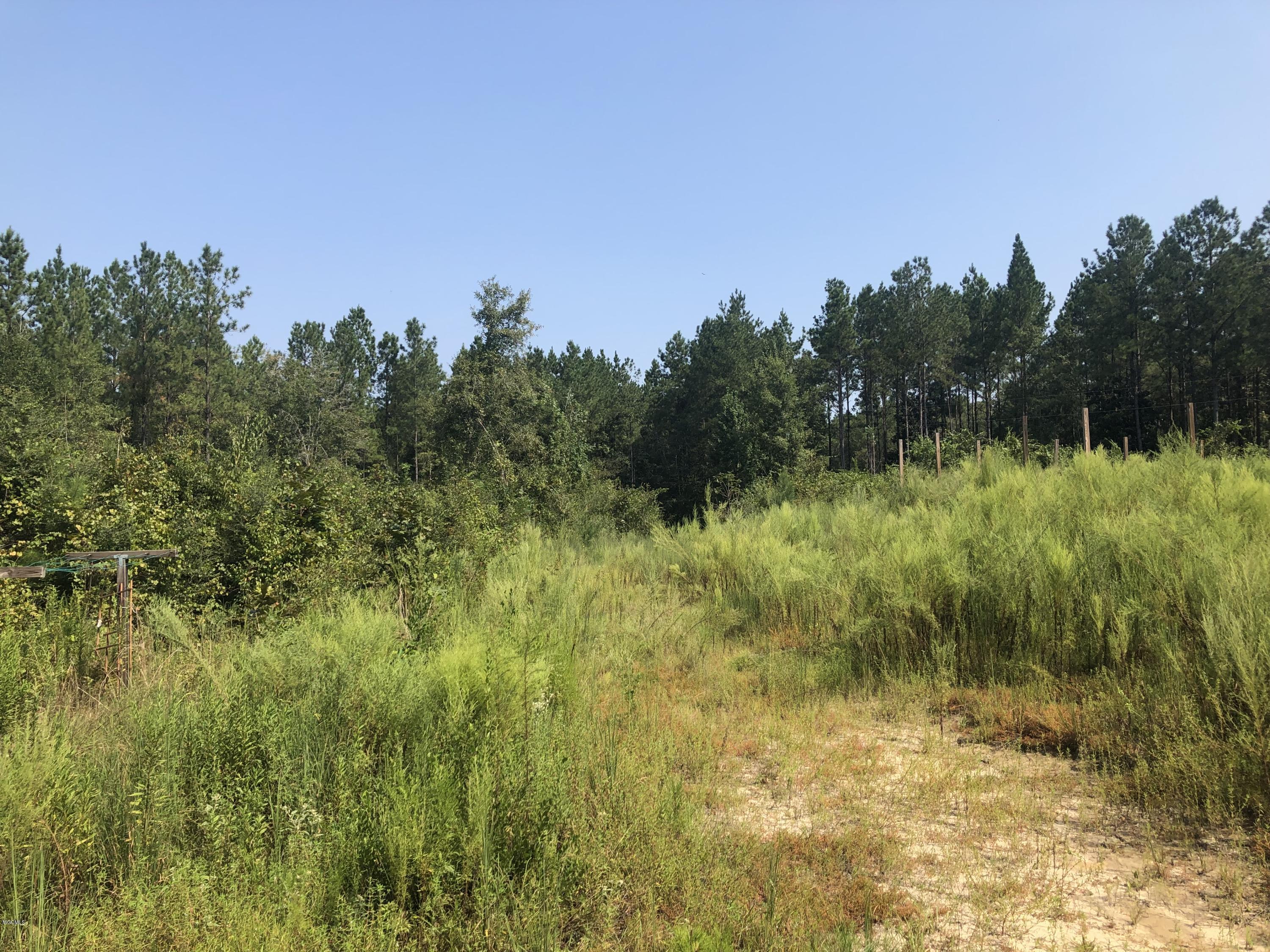 0 Stonecypher Road Lucedale, MS 39452 - Photo 25 of 29 IMG_1545
