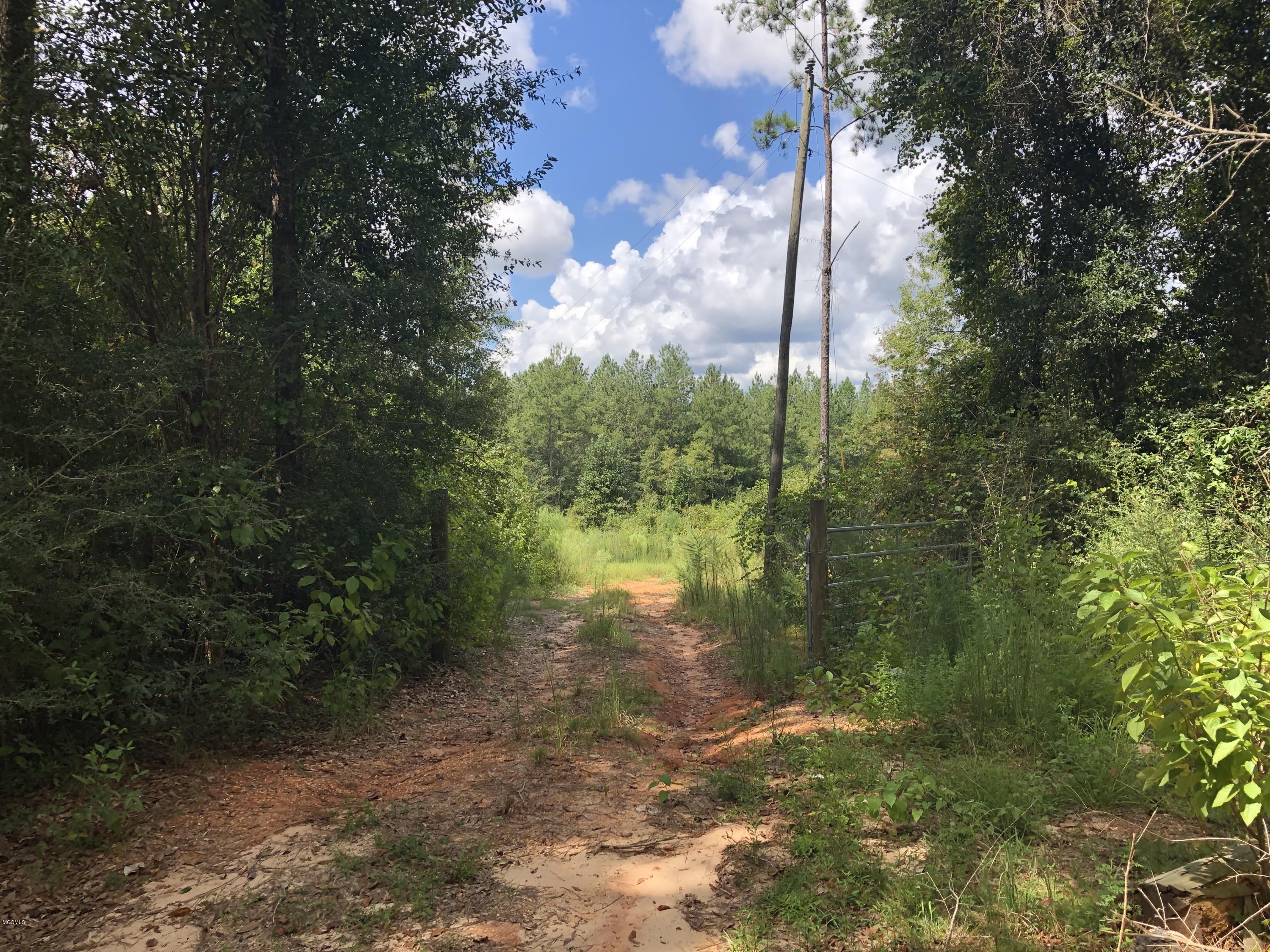 0 Stonecypher Road Lucedale, MS 39452 - Photo 3 of 29 IMG_1525