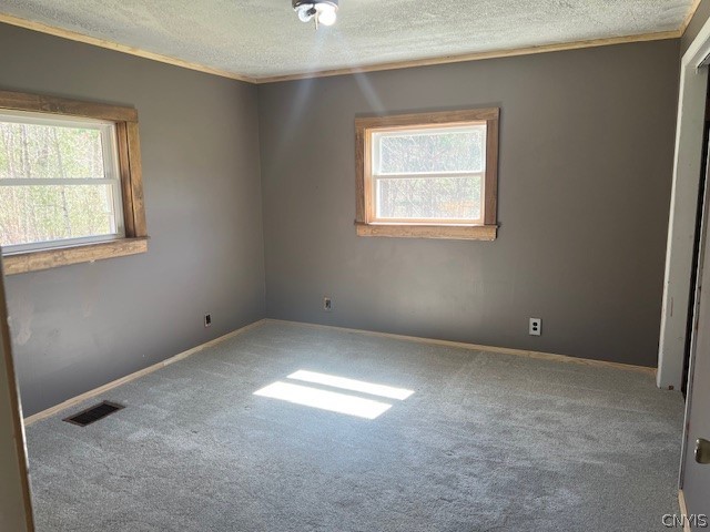 7004 State Rte 3 Diana, NY 13648 - Photo 19 of 24