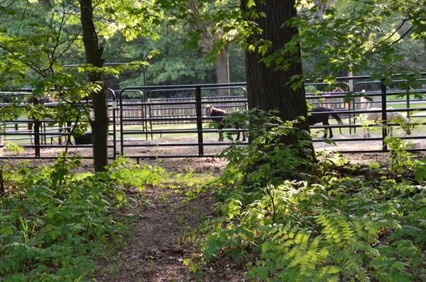 $515,000 | 2528 Vanderbilt Avenue, Portage, MI 49024