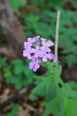 $515,000 | 2528 Vanderbilt Avenue, Portage, MI 49024