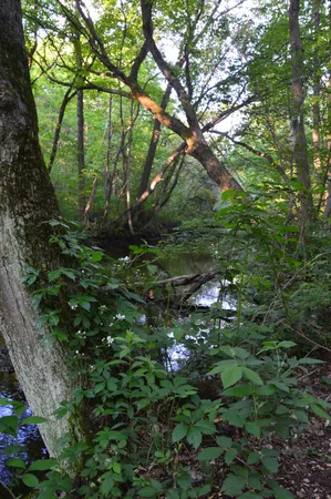 $515,000 | 2528 Vanderbilt Avenue, Portage, MI 49024