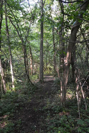 $515,000 | 2528 Vanderbilt Avenue, Portage, MI 49024