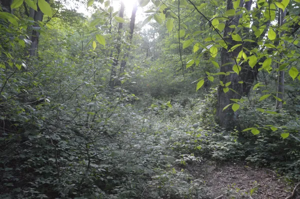 $515,000 | 2528 Vanderbilt Avenue, Portage, MI 49024