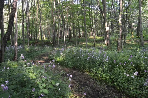 $515,000 | 2528 Vanderbilt Avenue, Portage, MI 49024