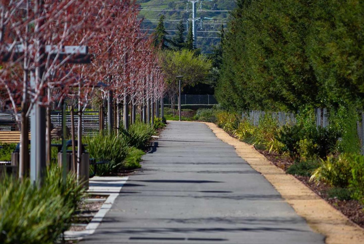 6694 Optimum Loop San Jose, CA 95119 - Photo 23 of 27