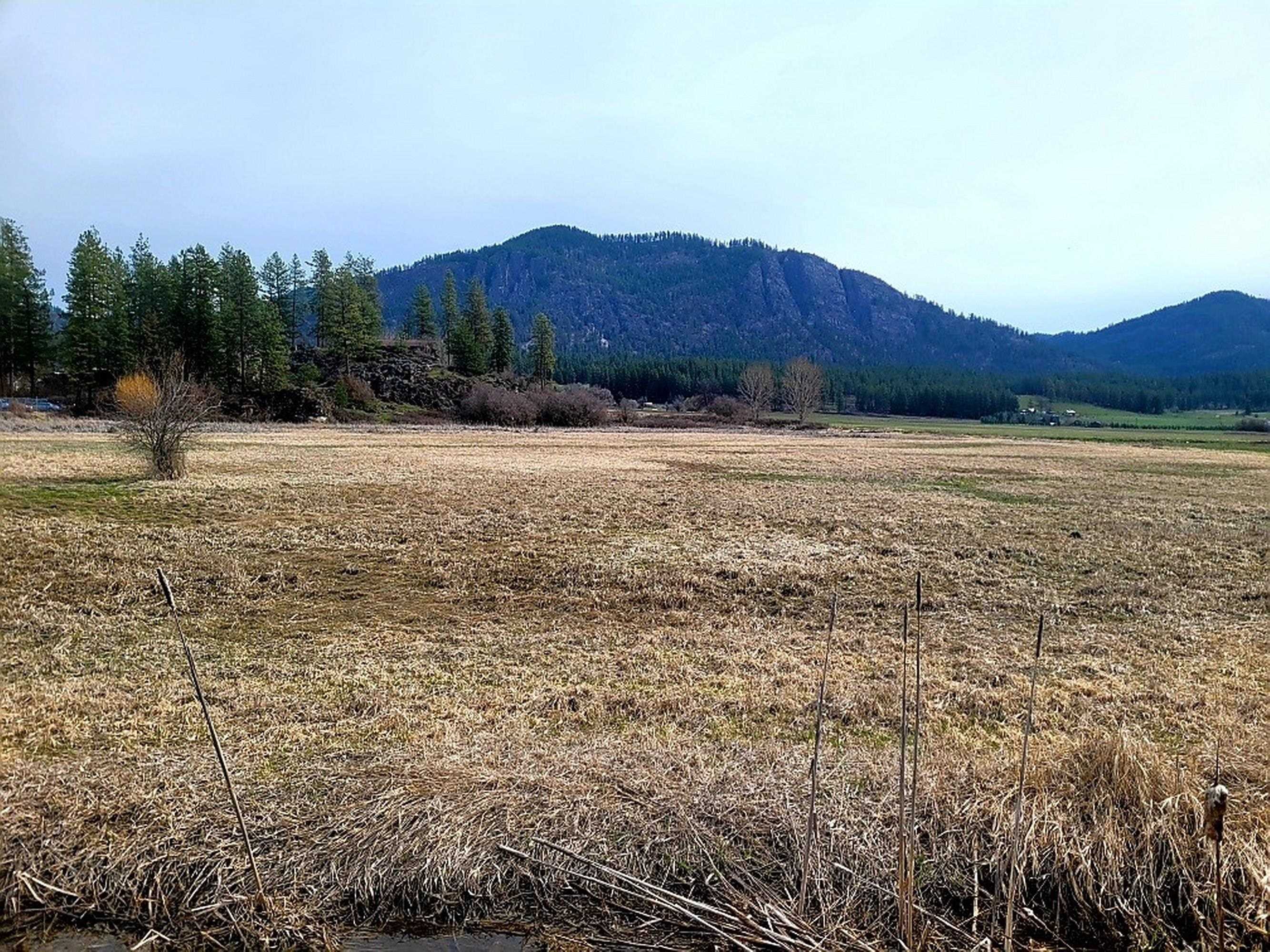 250-252 Quartzite Loop Chewelah, WA 99109 - Photo 21 of 23