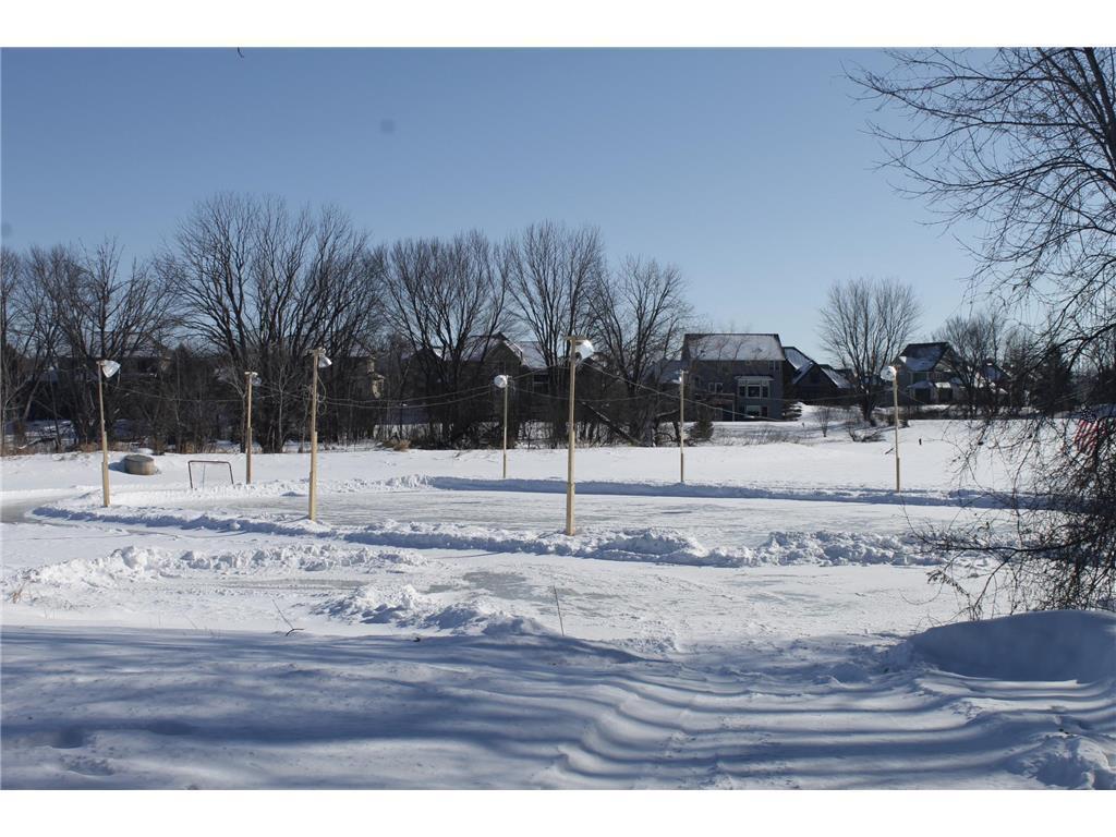 11656 Azure Lane Inver Grove Heights, MN 55077 - Photo 52 of 59