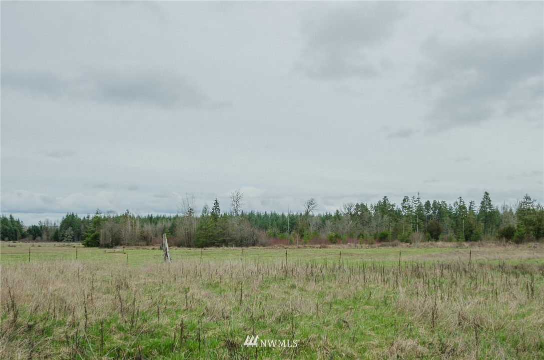 184 Boone Road Toledo, WA 98591 - Photo 12 of 16 Gallery Image 12