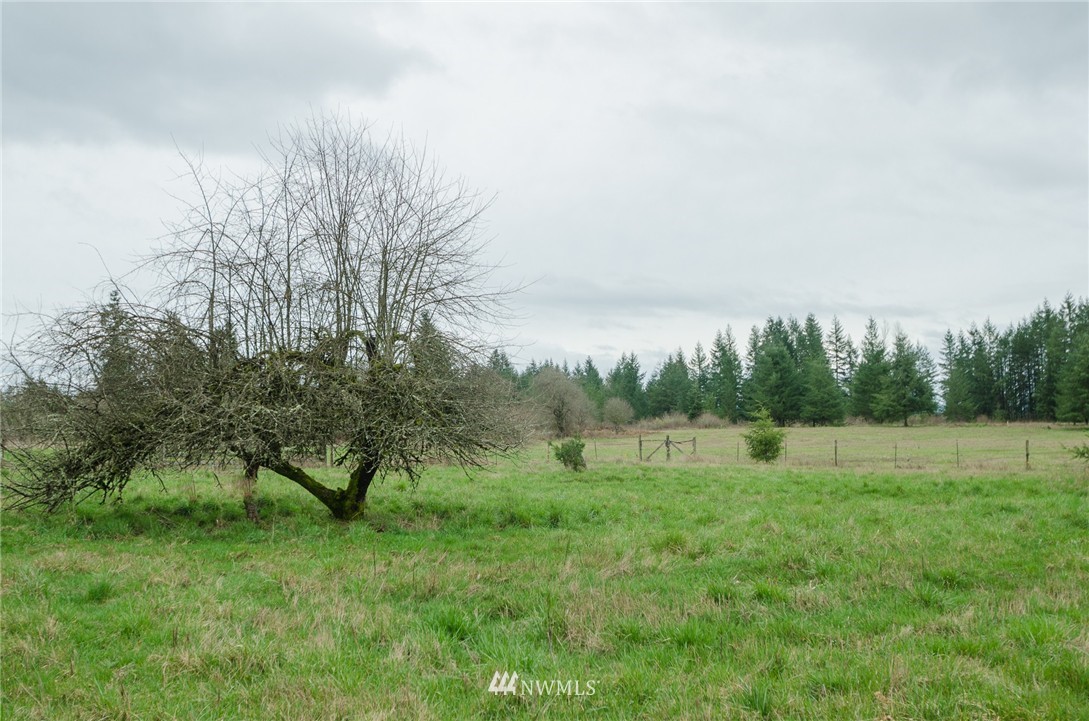 184 Boone Road Toledo, WA 98591 - Photo 15 of 16 Gallery Image 15