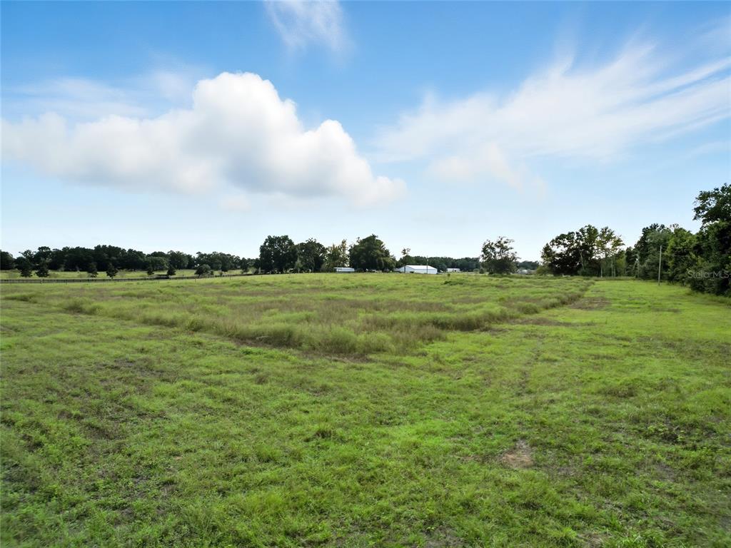 0 Powerline Road Dade City, FL 33523 - Photo 3 of 6