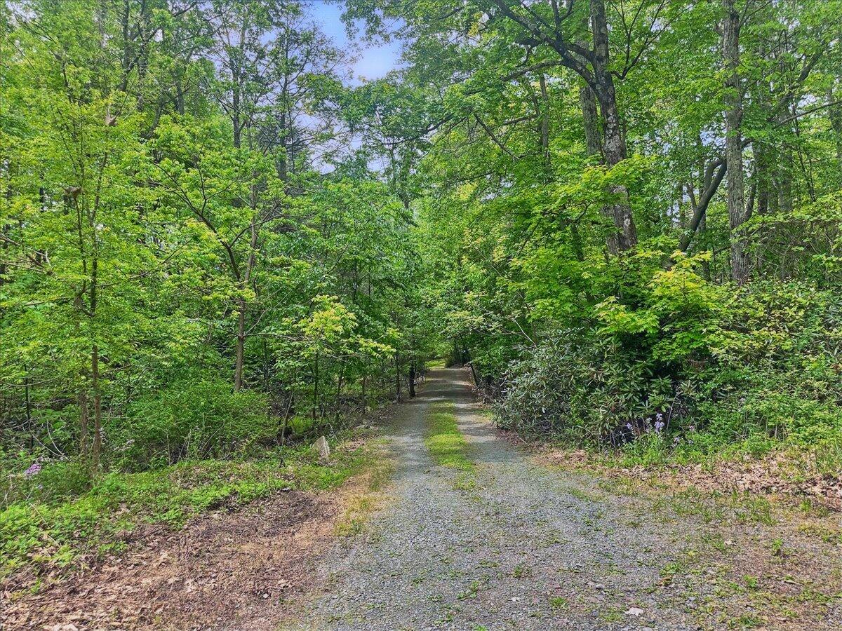 2147 Gravel Road Canadensis, PA 18325 - Photo 50 of 57 53-Photo_001