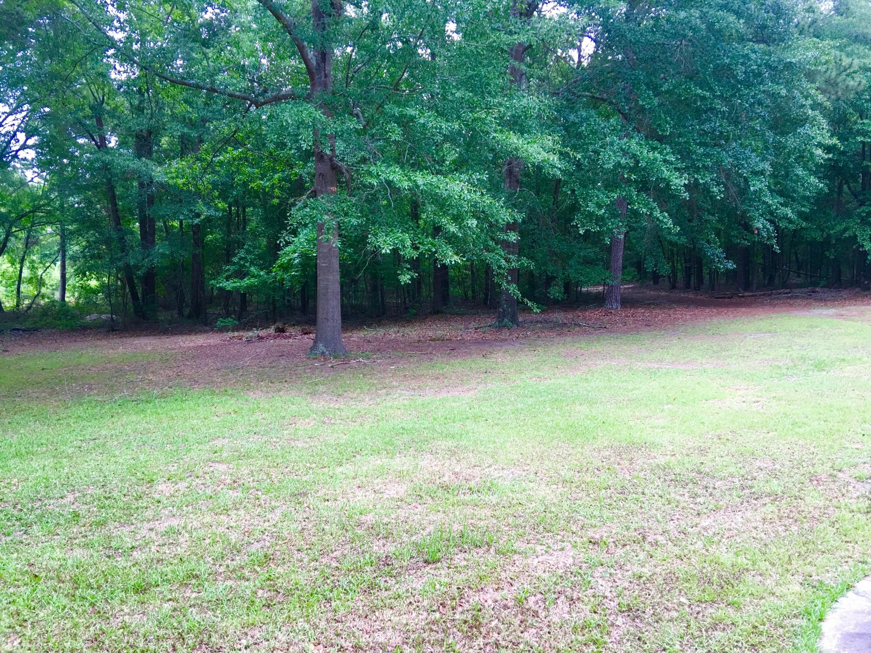 4155 Fulton Mill Road Macon, GA 31216 - Photo 20 of 20 a backyard of a house with plants and large trees