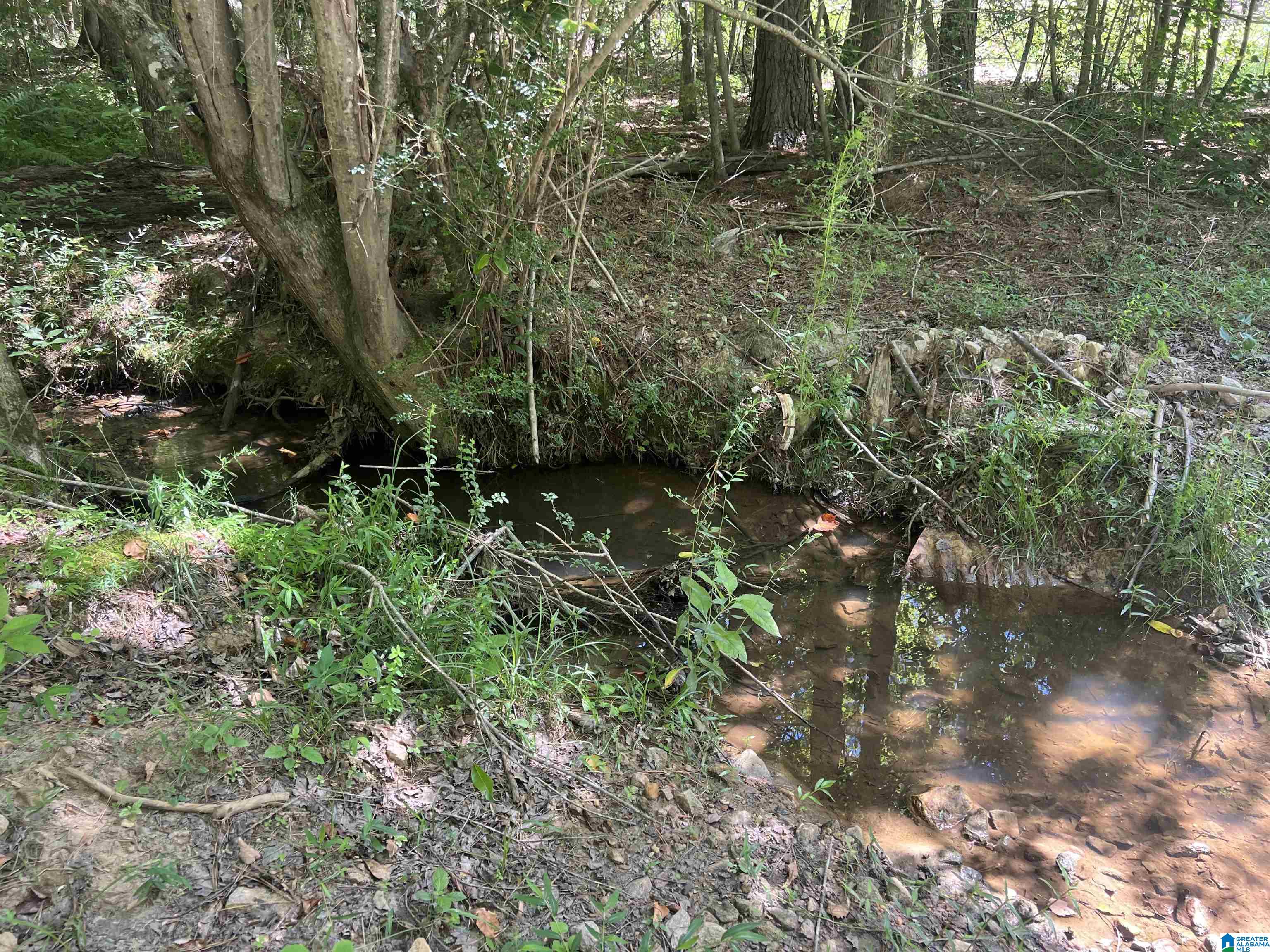 0 County Road 689, Unit 1 Ranburne, AL 36273 - Photo 26 of 69