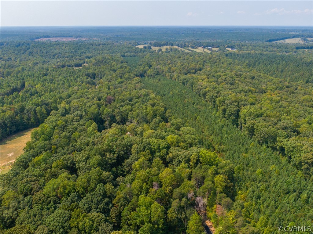 2301 Ridge Road Powhatan, VA 23139 - Photo 47 of 47 Gallery Image 47