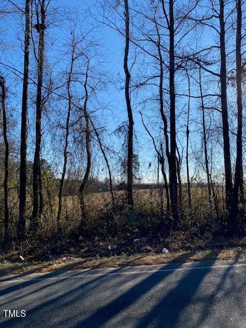 Lot 4 Bunnlevel Erwin Road Bunnlevel, NC 28323 - Photo 2 of 4 1