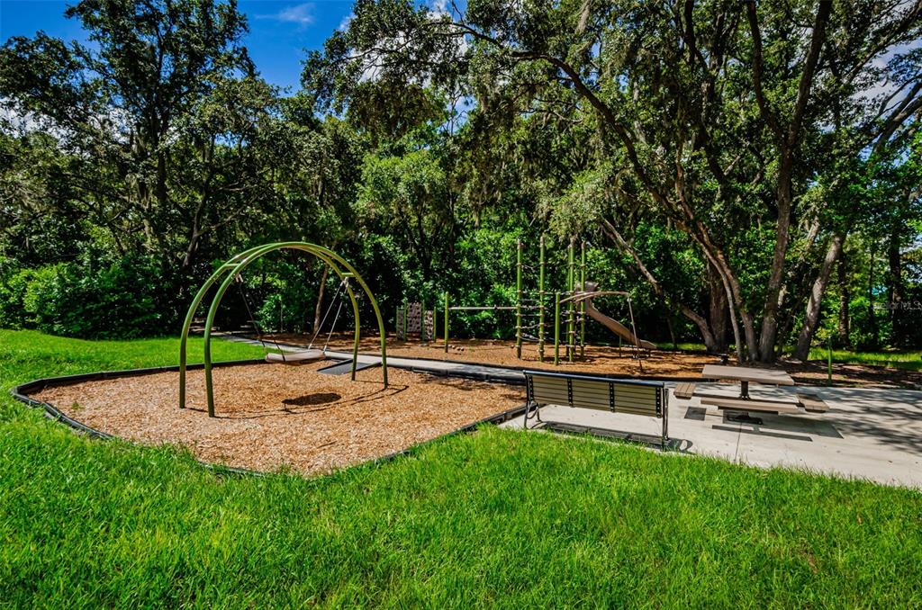 6780 Emerald Spring Loop New Port Richey, FL 34653 - Photo 76 of 83 Gallery Image 76