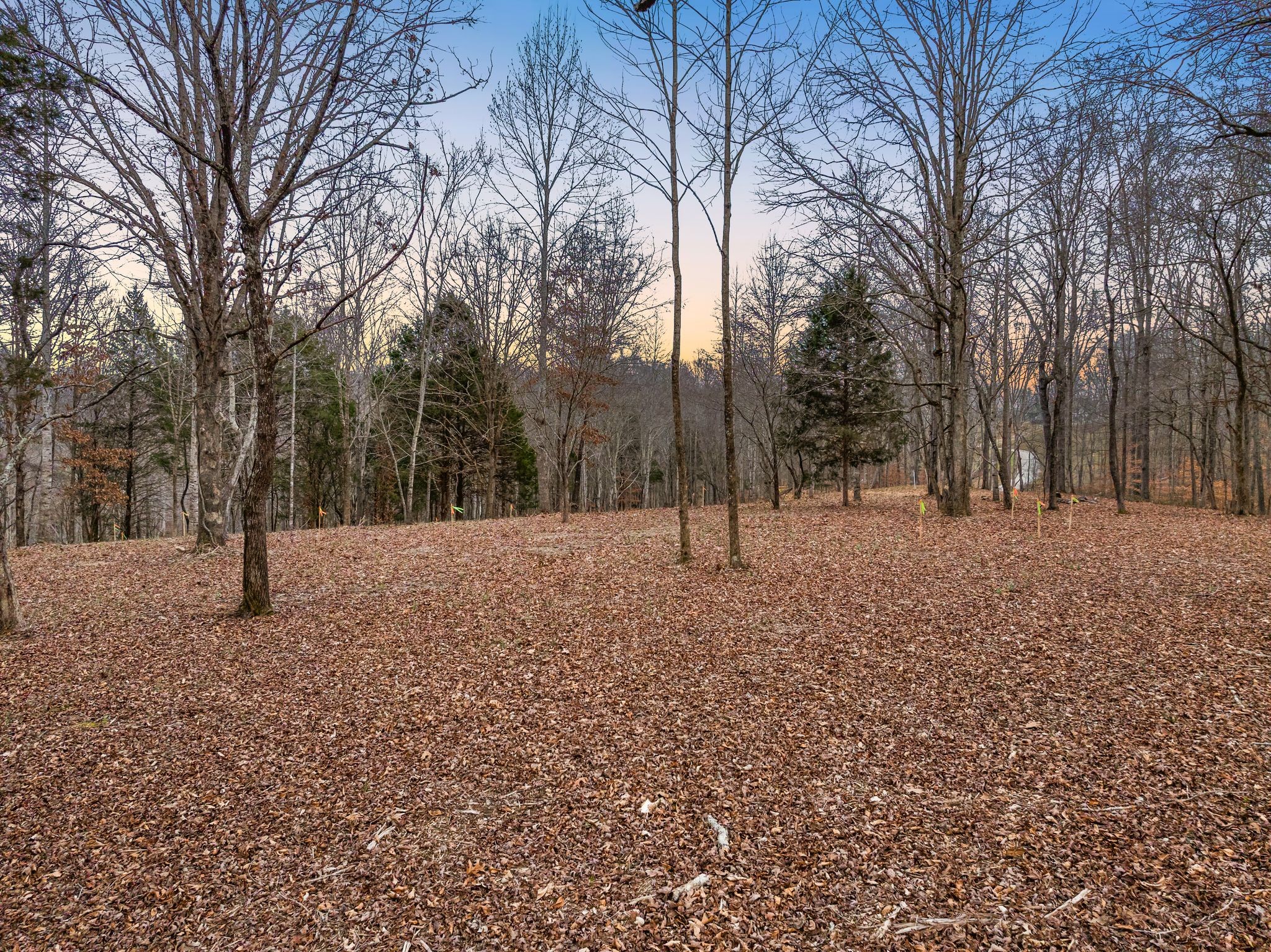 6009 Garrison Road Franklin, TN 37064 - Photo 9 of 12