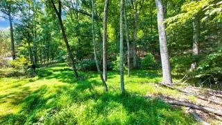 a view of backyard with green space