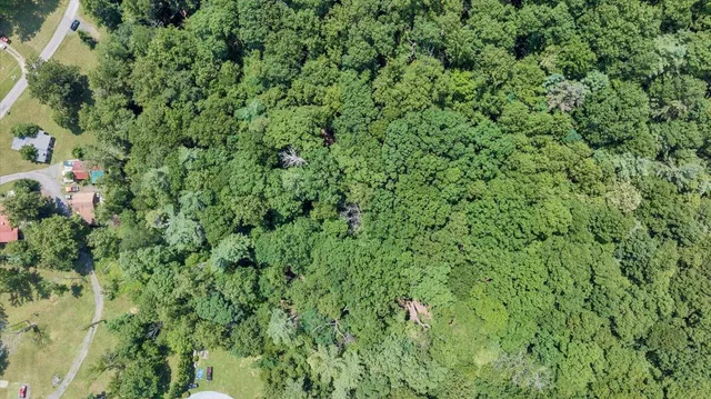 a view of a green field