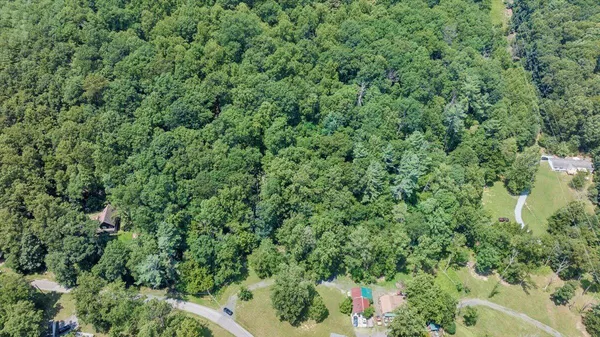an outdoor view of garden with lots of trees