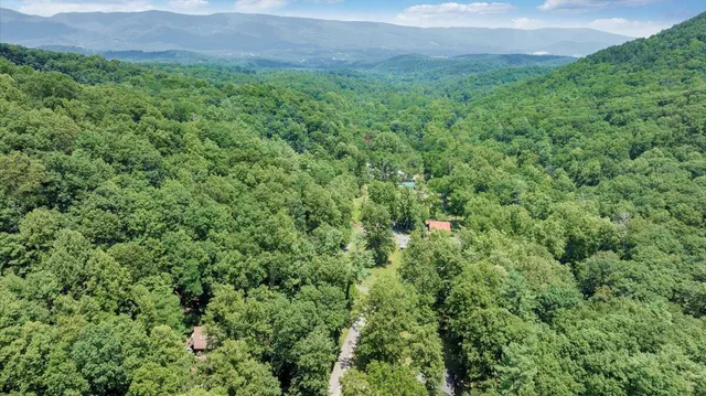 a view of a field of grass and trees