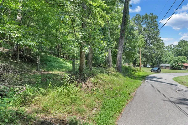 a view of street with lush green forest